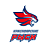 Красноярские Рыси